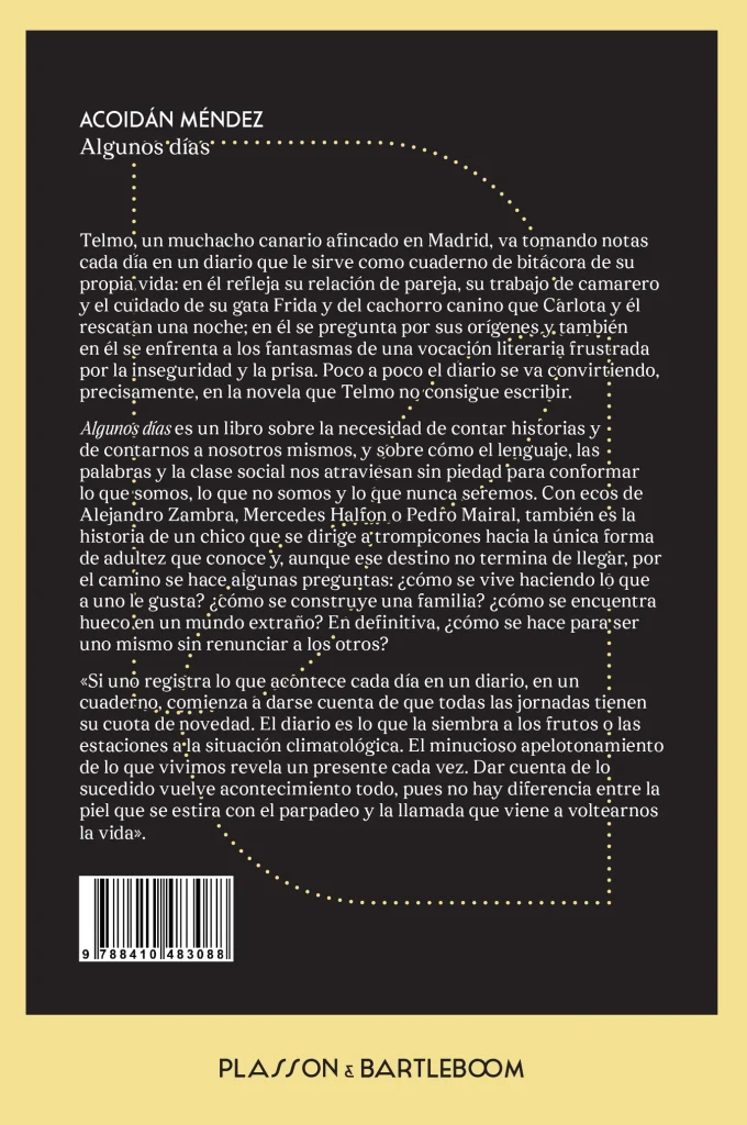 Contraportada de Algunos días de Acoidán Méndez